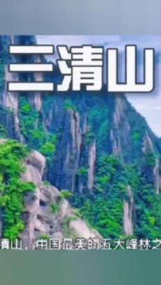 道奇蝰蛇找不同