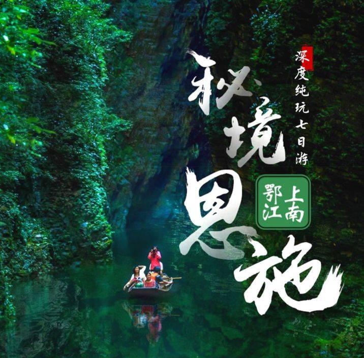 救援淘气的小狗