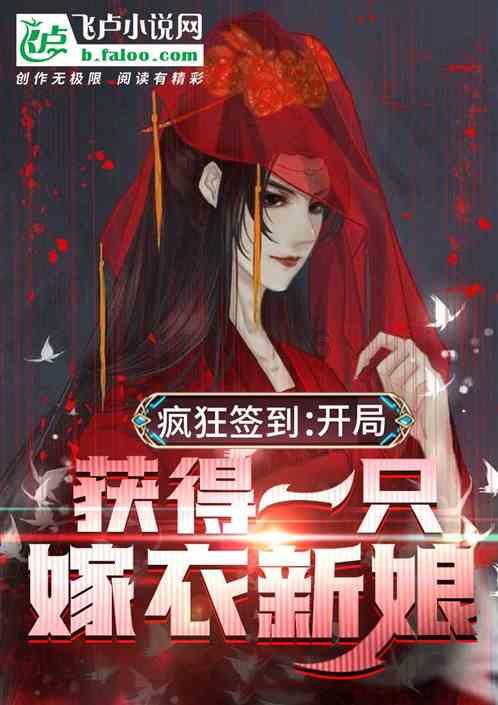 新高达破坏者