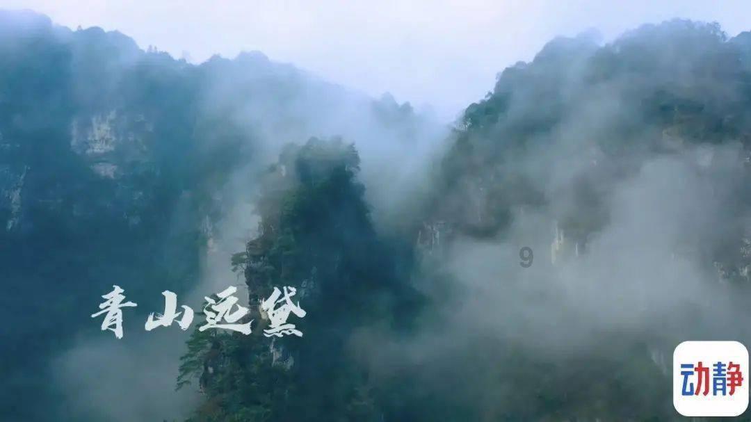 荆棘王座