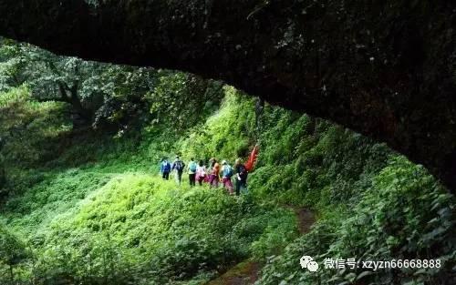 120万字小说15分钟读完？傅斌星委员：让AI+应用提升浙企竞争力