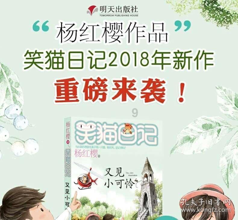 上升的五彩石