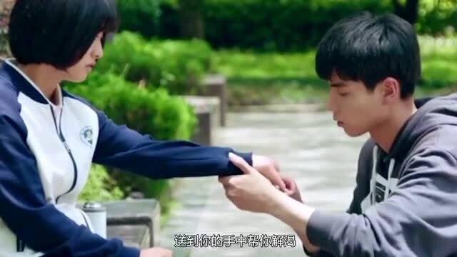 救援小袋熊
