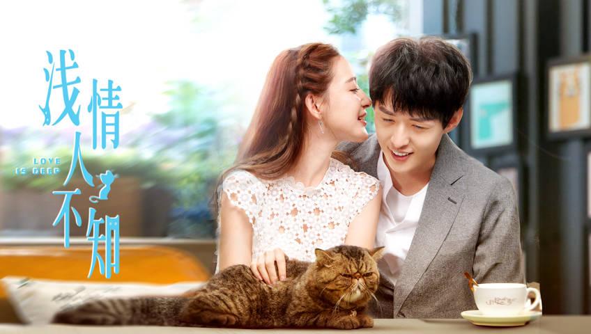 探探猫历险记