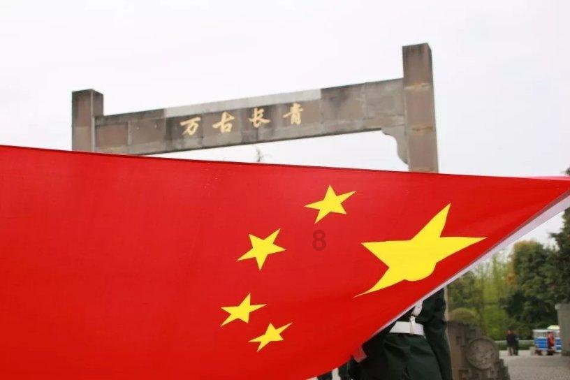 针织裙