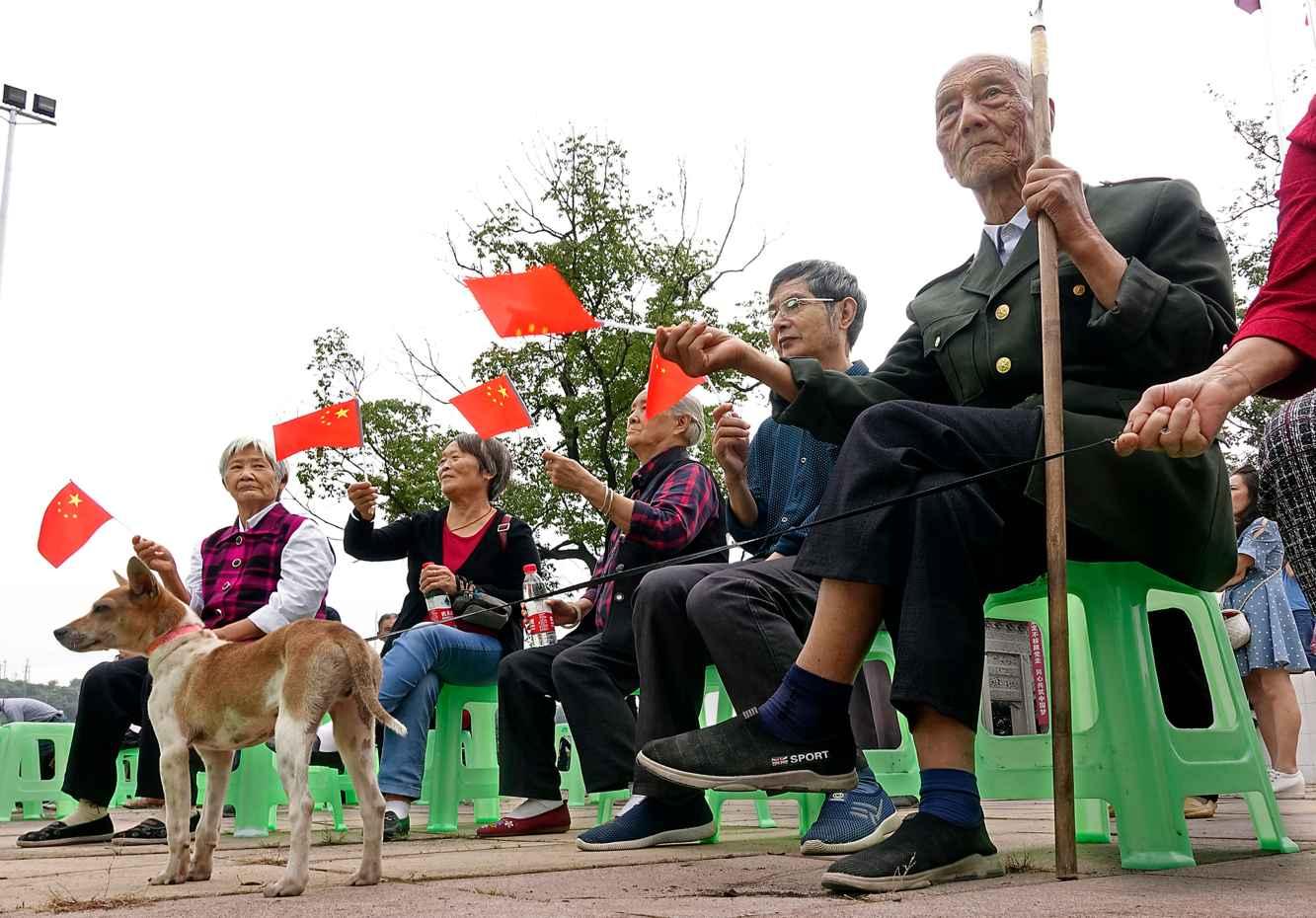 天上掉下个小猪猪
